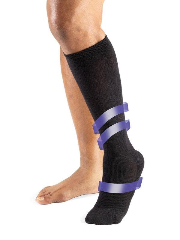 Transition Liner